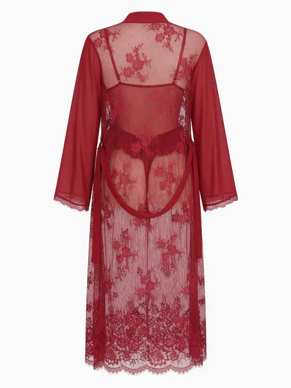 Long Sheer Lace Mesh Robe, Red, studio, back
